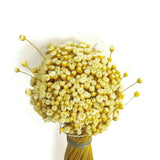 Dried Happy Flowers Straw Flowers Bundle Home Decor Dried Botanicals Bouquets