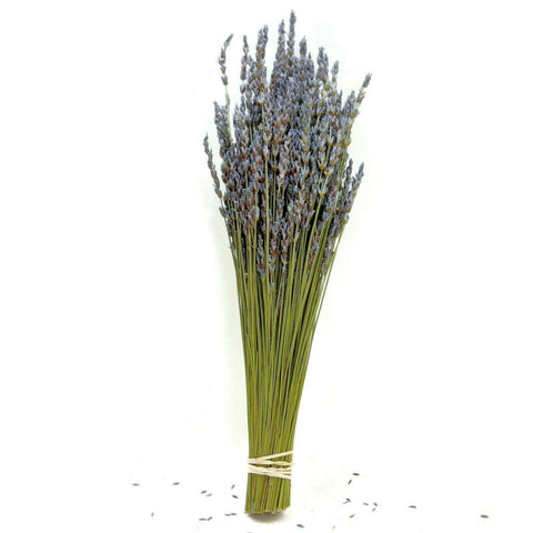 Natural Dried Grosso French Lavender Flower Bunch Home Deco Bouquet Herb Scented