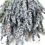 Natural Dried Grosso French Lavender Flower Bunch Home Deco Bouquet Herb Scented