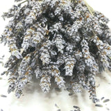 Natural Dried Grosso French Lavender Flower Bunch Home Deco Bouquet Herb Scented