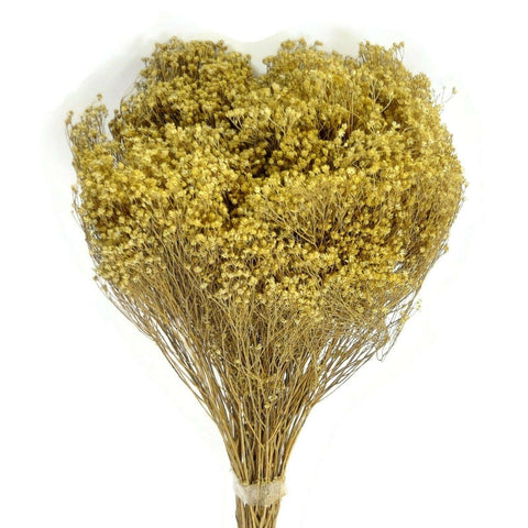 Dried Flowers Natural Broom Blooms Flower Bundle Home Decor Dried Botanicals