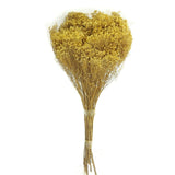 Dried Flowers Natural Broom Blooms Flower Bundle Home Decor Dried Botanicals