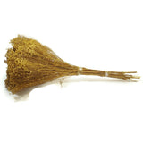 Dried Flowers Natural Broom Blooms Flower Bundle Home Decor Dried Botanicals