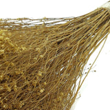 Dried Flowers Natural Broom Blooms Flower Bundle Home Decor Dried Botanicals