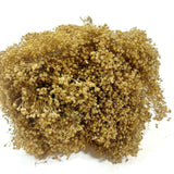 Dried Flowers Natural Broom Blooms Flower Bundle Home Decor Dried Botanicals