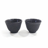Japanese Cast Iron Tea Cups Mugs Pair 2pcs Black Teacup Cup Set of 2 Home Décor