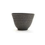 Japanese Cast Iron Tea Cups Mugs Pair 2pcs Black Teacup Cup Set of 2 Home Décor