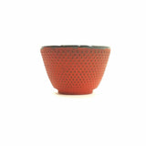Japanese Cast Iron Tea Cups Mugs Pair 2pcs Red Teacup Cup Set of 2 Home Décor