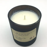 Soy Wax Can Candle Edgar Allan Poe Cardamom Absinthe Sandalwood Flavor Paddywax