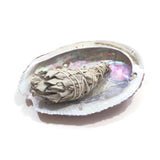 Smudging Herb White Sage Stick Mini Bundle 3"-3.5" Body Mind Spirit Purification