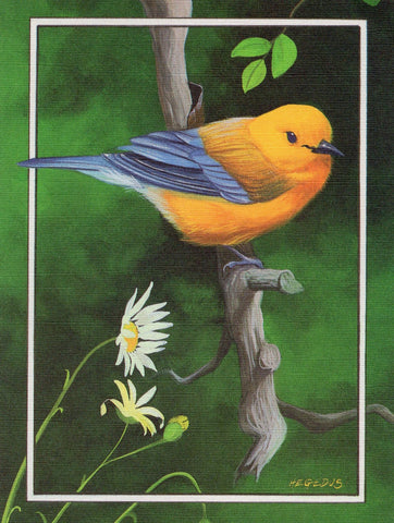 Orange Chest Bird Birds Lover Collection Blank Art Greeting Card illustrated by