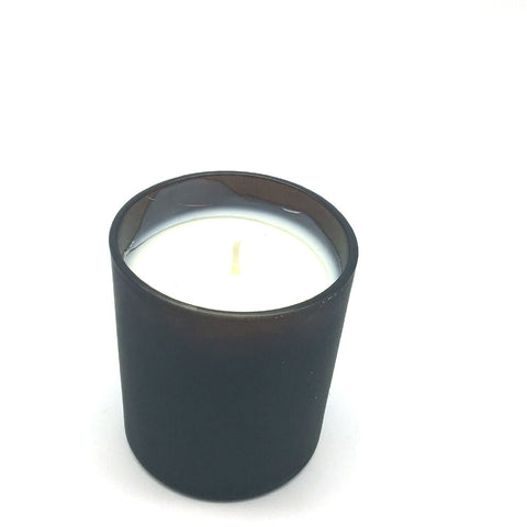 Soy Wax Can Candle Edgar Allan Poe Cardamom Absinthe Sandalwood Flavor Paddywax