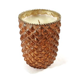 Scented Candle Pier 1 Imports Apricot Grove Gold/Orange Home Décor Fragrance