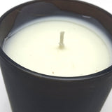 Soy Wax Can Candle Edgar Allan Poe Cardamom Absinthe Sandalwood Flavor Paddywax