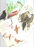 Lot of 4 Trader Joe's Birds Lovers  Blank Greeting Cards