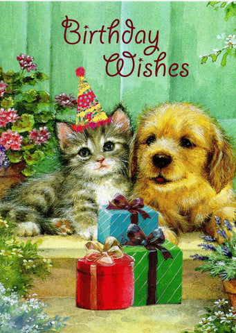 Birthday Wishes Greeting Card a Dog and a Cat