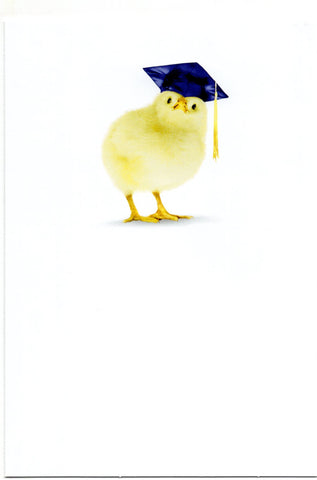 Happy Graduation Wishes Greeting Card Little Chick