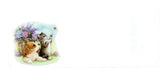 Que Disfrutes tu Cumpleaños Happy Birthday Greeting Card Cat Dog & Butterfly