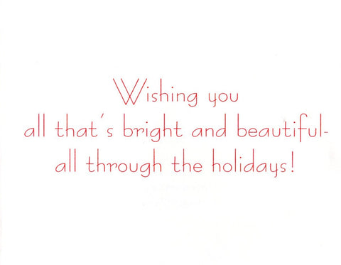 Christmas Time Decorative House Door Christmas Holiday Seasons Greeting Card
