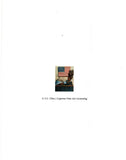 USA American Eagle and Flag Blank Art Note Greeting Card