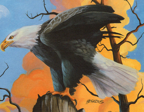 Michael Hegedus Eagle on a Rock Blank Art Greeting Card Birds Wildlife Collectio