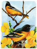 Beautiful American Robins Birds On a Yellow Flower Branch Birds Collection Blank
