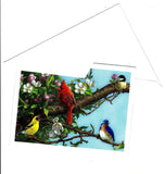 Beautiful Cardinal on a Branch Birds Lovers Collection Blank Art Greeting Card