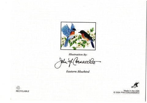 Eastern Bluebird Birds Lovers Collection Blank Art illustrated Greeting Card