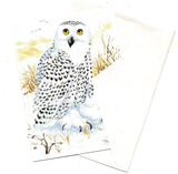 Snowy Owl Bird Birds Lovers Collection Blank Art illustrated Greeting Card