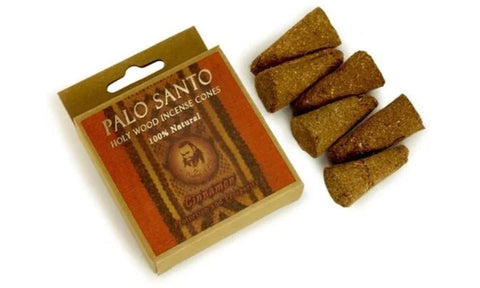 Palo Santo Cinnamon Incense Cones Protection Purification Spirituality 6 in 1 Pc