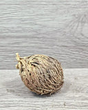 Rose Of Jericho Resurrection Flower Plant Blessing Spirituality Herbs Therapy