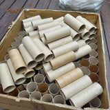 Toilet Paper Rolls Empty Tubes Art & Craft Supply DIY Home School Projects