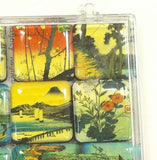 Nature Pastoral Collection Mighty Magnets Set of 10 Collectible Fridge Magnets