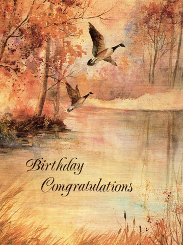Art Painting Birthday Congratulations Greeting Card Gooses Flying Sun Set
