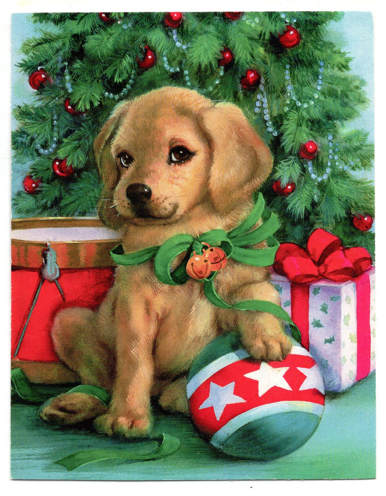 Christmas Dog Mary Christmas Holiday Seasons Greeting Card Dogs lovers