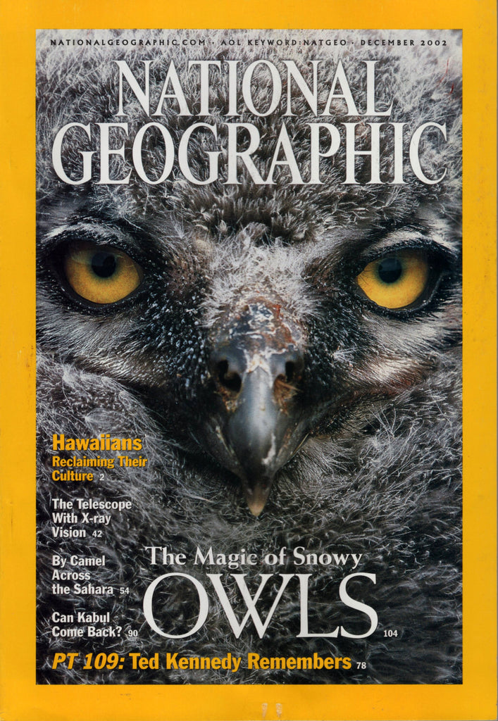 National Geographic Magazine The Magic Of Snowy Owls December 2002
