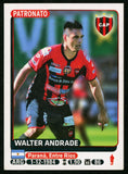 Walter Andrade CAP Patronato Argentine #617 Soccer Sport Card Panini