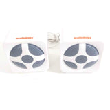 Small Speakers Audiology 2.75" x 2.75"