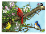 Beautiful Cardinal on a Branch Birds Lovers Collection Blank Art Greeting Card