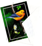 Orange Chest Bird Birds Lover Collection Blank Art Greeting Card illustrated by