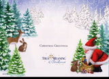 Embossed Christmas Greeting Card Santa Claus Give Gifts to Animals