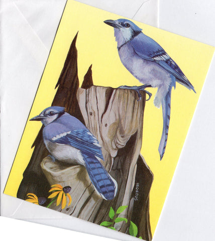 Beautiful Blue-Colored Birds Birds Collection Blank Art Greeting Card illustrate