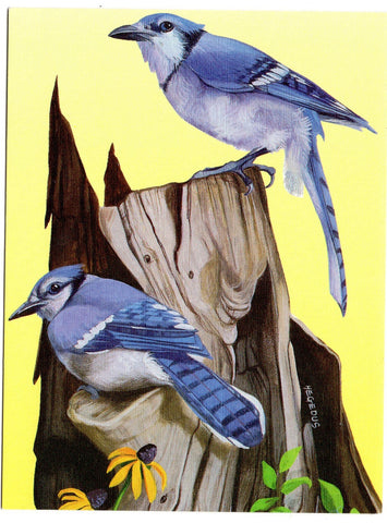 Beautiful Blue-Colored Birds Birds Collection Blank Art Greeting Card illustrate