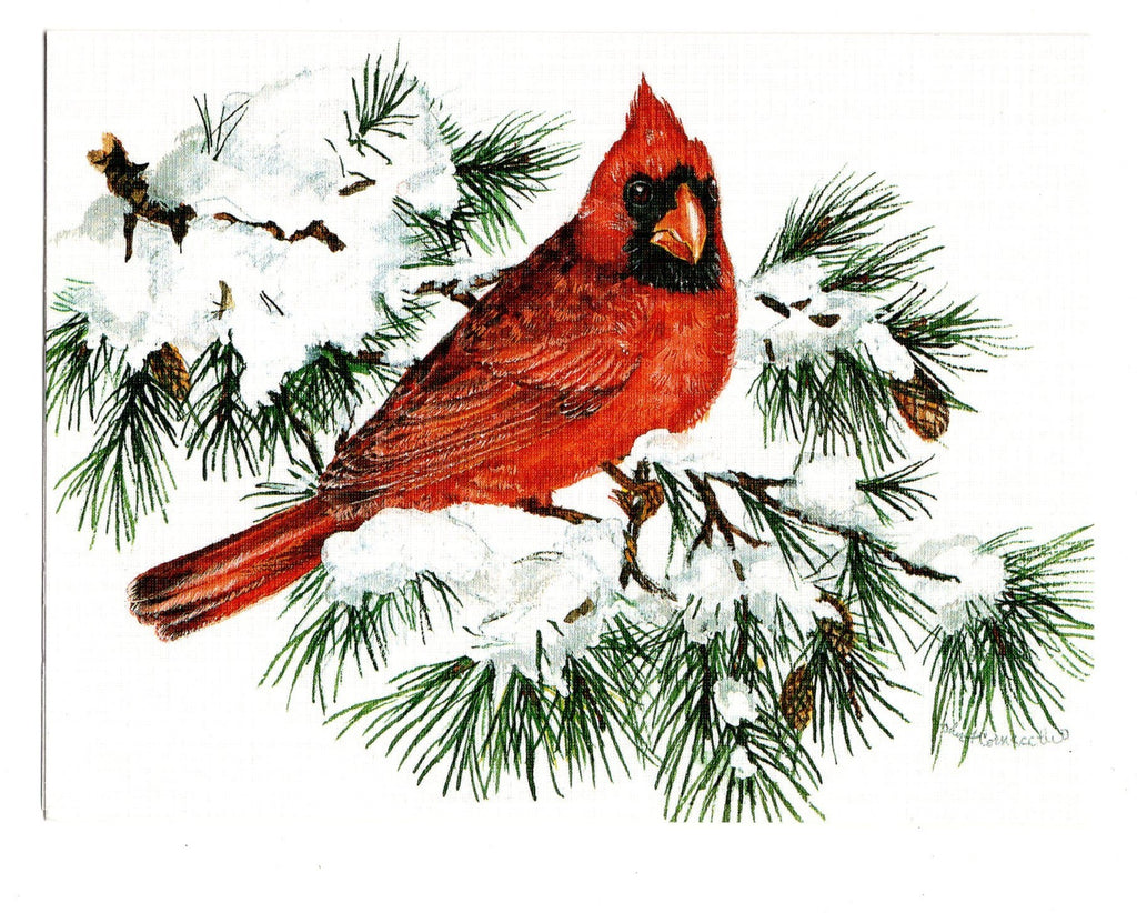 Northern Cardinal Birds Lover Collection Blank Art illustrated Greeting Card