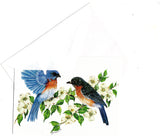 Eastern Bluebird Birds Lovers Collection Blank Art illustrated Greeting Card