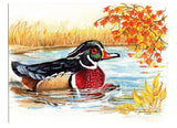 Wood Duck Aquatic Birds Lovers Collection Blank Art illustrated Greeting Card