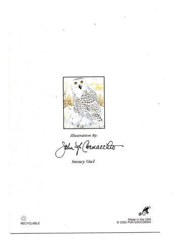 Snowy Owl Bird Birds Lovers Collection Blank Art illustrated Greeting Card